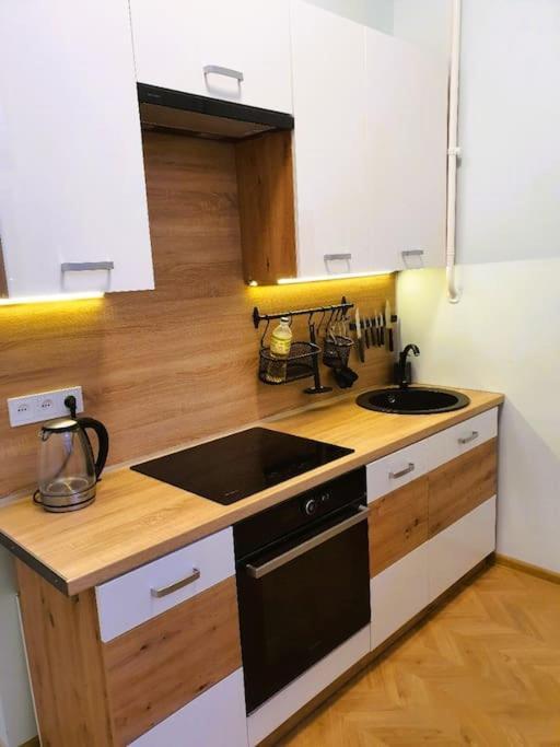Modern Flat By Lukiskiu Square Аеропорт Вільнюс Екстер'єр фото